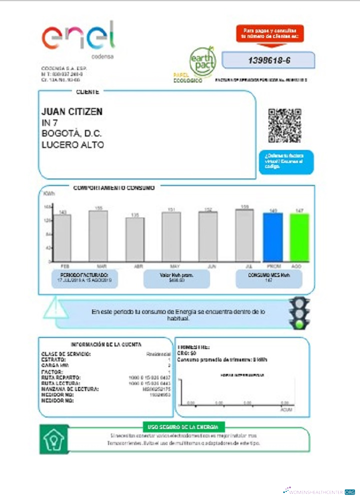 download download Colombia ENEL energy utility bill